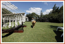 Çakırkeyif Butik Otel & Restaurant