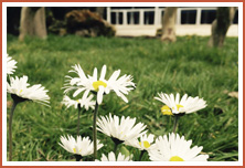 Çakırkeyif Butik Otel & Restaurant